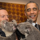 Illustration for article titled The G20 Summit Looks Fun
